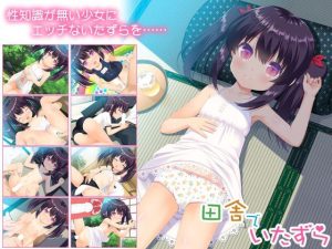 【PC＋KR机翻ADV】田舎でいたずら（GPT3.5翻译）-目标是h游戏大师