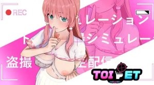 厕所盗摄直播 Toilet 官方中文版-目标是h游戏大师