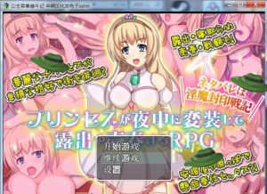 A5991[日式露出RPG/汉化]公主卖春奋斗记PC+安卓精翻汉化版+全CG[300M]-目标是h游戏大师