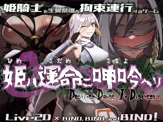 图片[1]-A6899[SLG/PC/生肉] 姬在命运中呻吟 姫ハ運命ニ呻吟ヘリ Destined Damsel In Distress [455M]-目标是h游戏大师