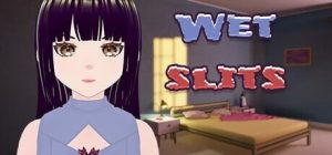 A7425[3D互动/动态/PC] 湿润的缝隙 Wet Slits v1.1 官方中文 [700M]-目标是h游戏大师