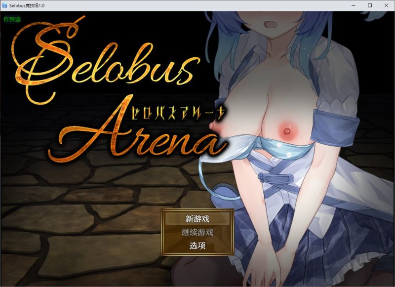 A10957[RPG/汉化]Selobus竞技场SelobusArena1.0PC+安卓AI汉化版[3.9G]-目标是h游戏大师